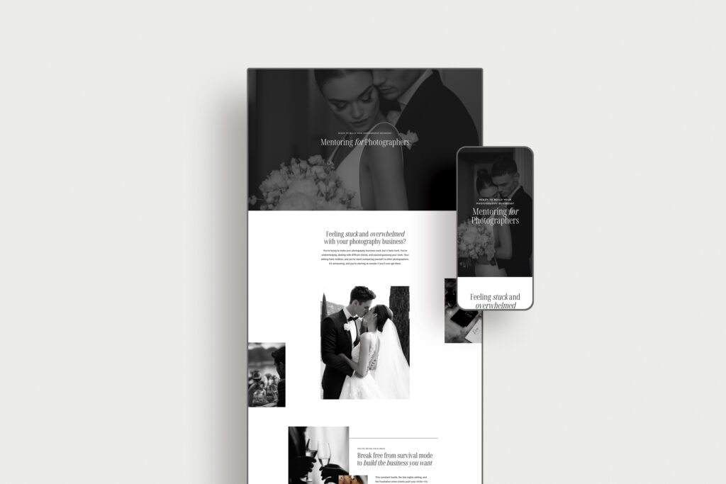 Mentoring Services for Educators