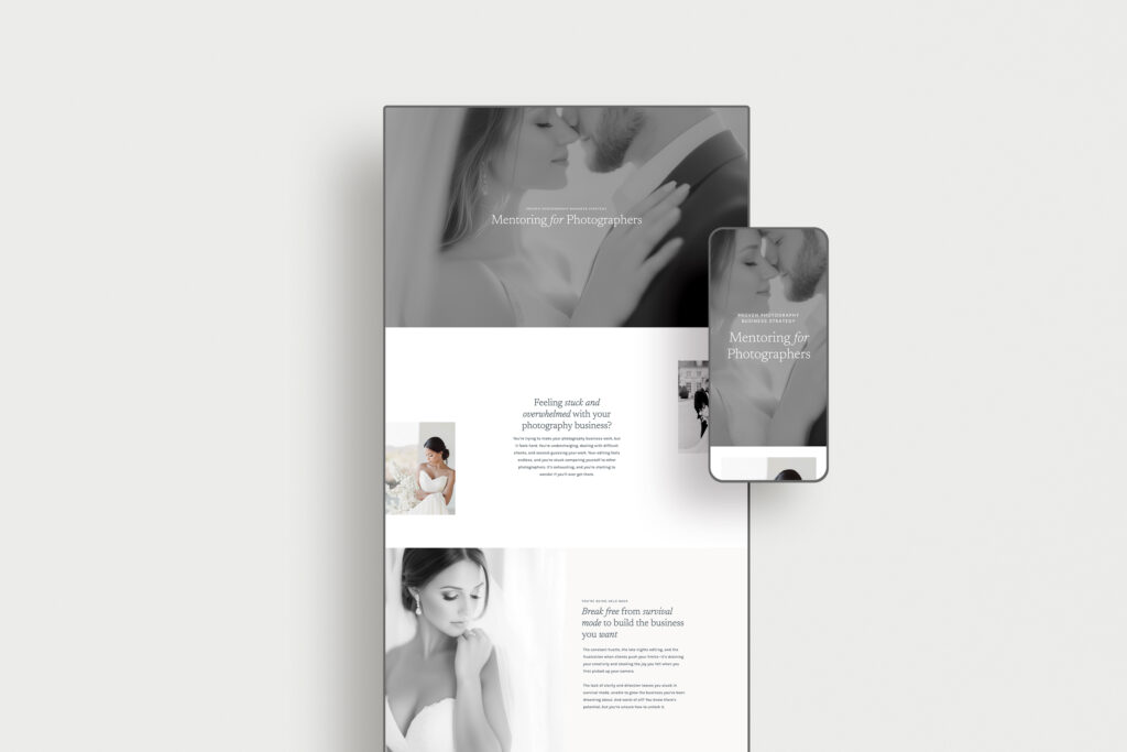 Mentoring Services for Educators